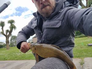 Tench