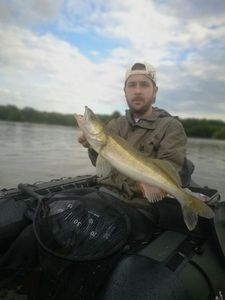 Zander