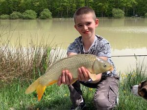 Common Carp