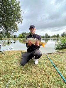 Common Carp