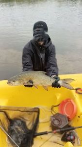 Asp