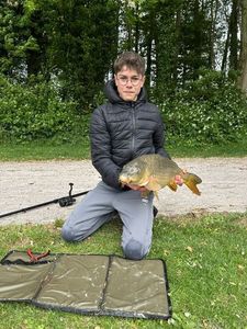 Common Carp
