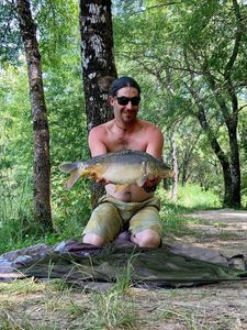 Mirror Carp