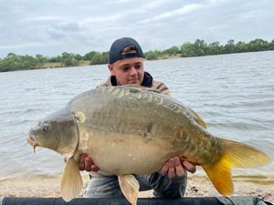Mirror Carp