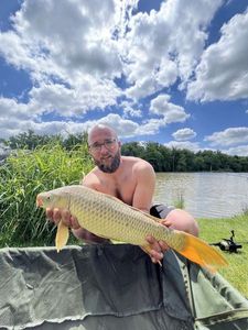 Common Carp