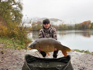 Common Carp