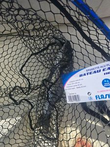 European Bass (Seabass)
