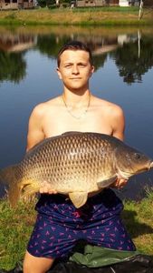 Common Carp