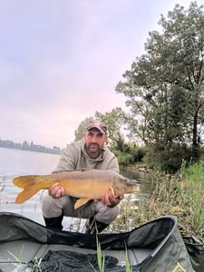 Mirror Carp