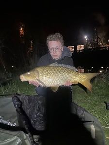 Common Carp