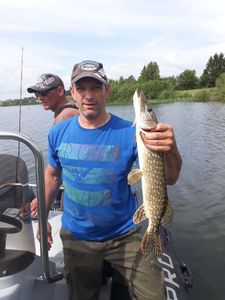Northern Pike