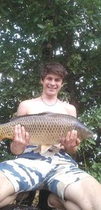Common Carp
