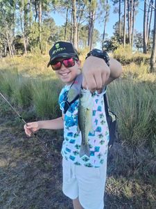 Largemouth Bass