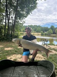 Carpe Amour (Carpe de Roseau)