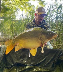 Leather Carp
