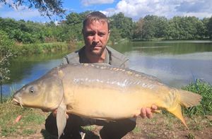 Mirror Carp