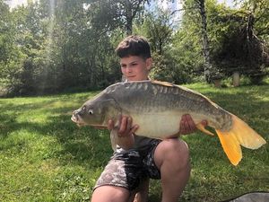 Mirror Carp