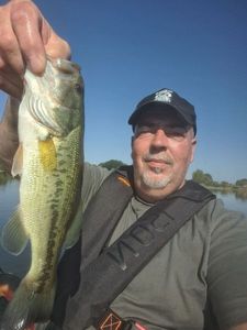 Largemouth Bass