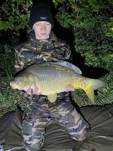 Mirror Carp