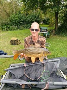 Common Carp