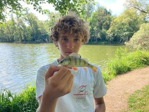 European Perch caught by timeo otamendi