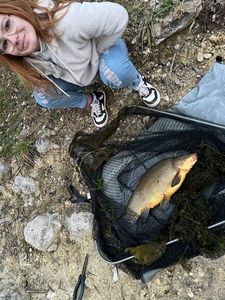Crucian Carp