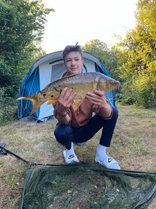 Mirror Carp