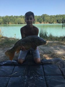 Mirror Carp