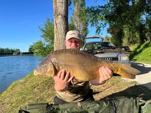Common Carp