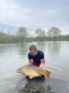 Mirror Carp