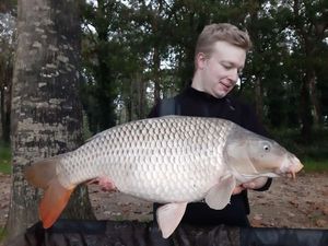 Mirror Carp