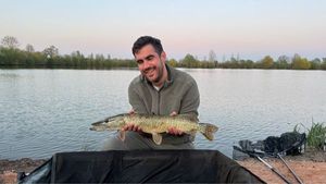 Northern Pike