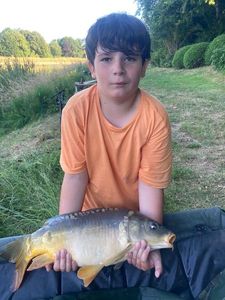 Common Carp