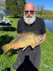 Mirror Carp