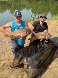 Mirror Carp