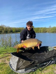 Mirror Carp