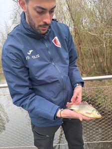 Crucian Carp