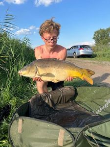 Mirror Carp