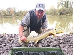 Sturgeon