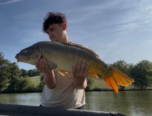 Mirror Carp