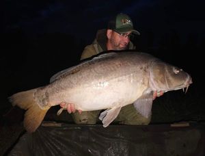Mirror Carp