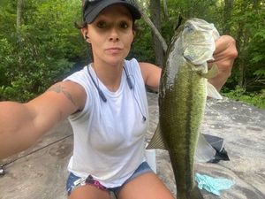 Largemouth Bass