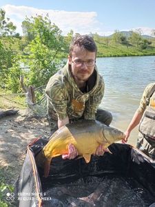 Mirror Carp