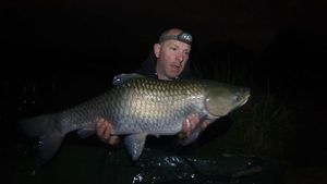 Silver Carp