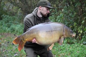 Mirror Carp