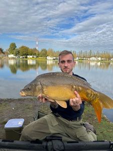 Mirror Carp