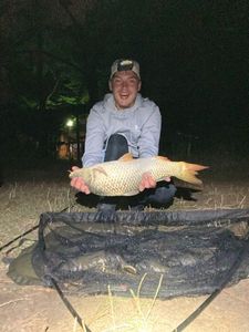 Common Carp