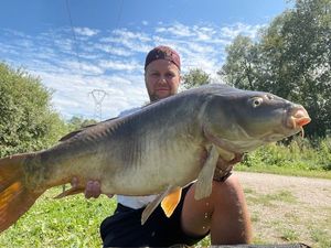 Mirror Carp