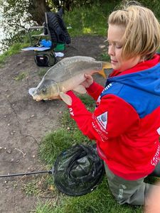 Mirror Carp