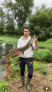 Northern Pike